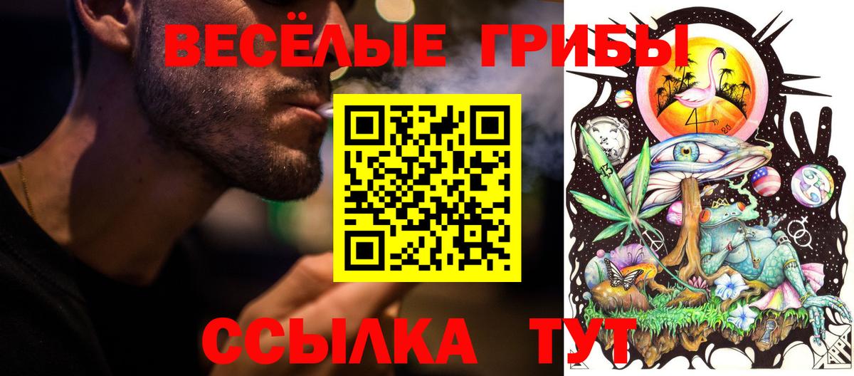 Псилоцибиновые грибы MAGIC MUSHROOMS  Вход с VPN  Галлюциногенные грибы GOLDEN TEACHER  Россошь 
